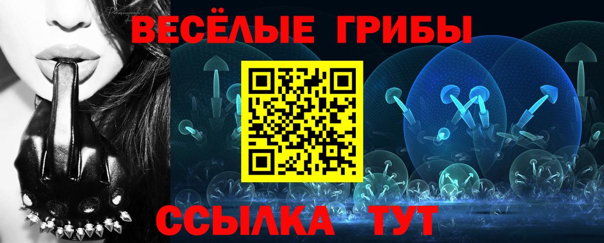 Галлюциногенные грибы GOLDEN TEACHER  Псилоцибиновые грибы MAGIC MUSHROOMS  Каменск-Шахтинский  Вход с VPN 